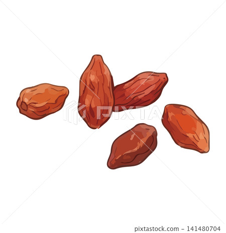 A mouthwatering illustration of goji berries. A mouthwatering illustration of goji berries. 141480704