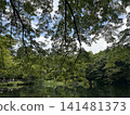 池塘周圍綠樹環繞 141481373