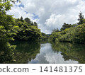 與池塘的風景 141481375