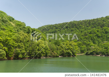 Scenic Lake in Forested Hills Scenic Lake in Forested Hills 141481476