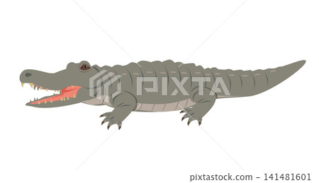Crocodile (animal) Crocodile (animal) 141481601