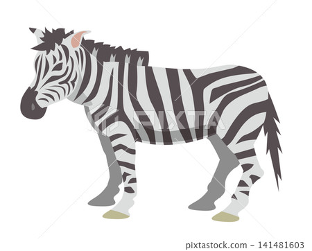 動物斑馬 動物斑馬 141481603