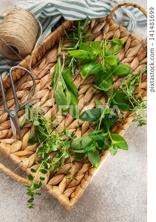 Fresh herbs collected in wicker basket with gardening supplies Fresh herbs collected in wicker basket with gardening supplies 141481699