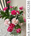 A mixed planting of pink carnations 141482286