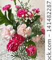 A mixed planting of pink carnations 141482287