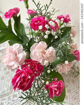 A mixed planting of pink carnations A mixed planting of pink carnations 141482287