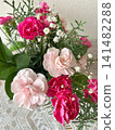 A mixed planting of pink carnations 141482288