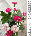 A mixed planting of pink carnations 141482290