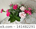 A mixed planting of pink carnations 141482291