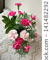A mixed planting of pink carnations 141482292