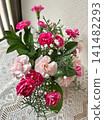 A mixed planting of pink carnations 141482293