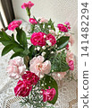 A mixed planting of pink carnations 141482294