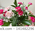 A mixed planting of pink carnations 141482296