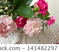 A mixed planting of pink carnations 141482297