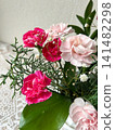 A mixed planting of pink carnations 141482298