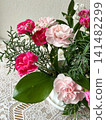 A mixed planting of pink carnations 141482299