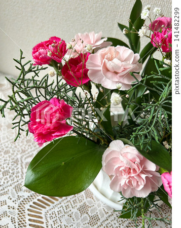 A mixed planting of pink carnations A mixed planting of pink carnations 141482299