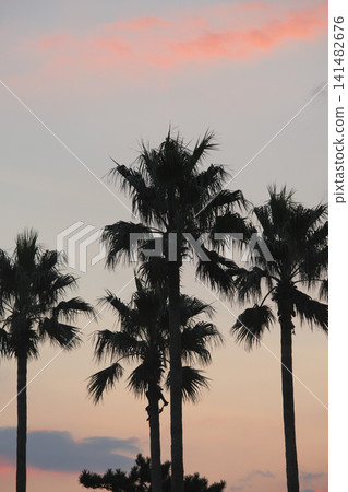 Dusk of Shonan Natural landscape 141482676