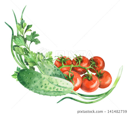 Corner composition of the tomatoes, cucumbers, parsley and green onion. Watercolor illustration. Handmade art work. For packaging design, cards, cover, prints, product labels and fabric. Corner composition of the tomatoes, cucumbers, parsley and green onion. Watercolor illustration. Handmade art work. For packaging design, cards, cover, prints, product labels and fabric. 141482739