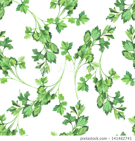 Seamless pattern of the parsley. Watercolor illustration. Handmade art work. For packaging design, cards, cover, prints, product labels and fabric. Seamless pattern of the parsley. Watercolor illustration. Handmade art work. For packaging design, cards, cover, prints, product labels and fabric. 141482741