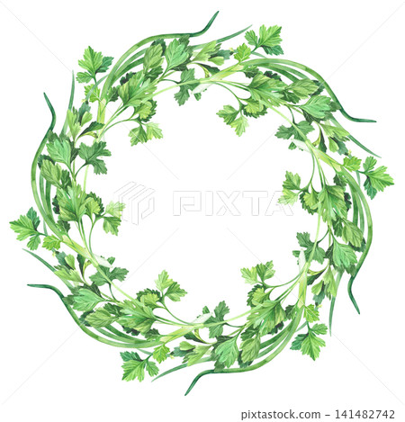 Wreath of the parsley and green onion. Watercolor illustration. Handmade art work. For packaging design, cards, cover, prints, product labels and fabric. Wreath of the parsley and green onion. Watercolor illustration. Handmade art work. For packaging design, cards, cover, prints, product labels and fabric. 141482742