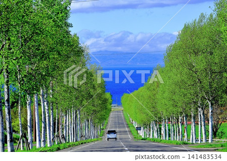 The way to the sea The way to the sea 141483534