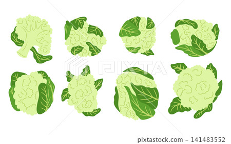 Illustrations of broccoli and cauliflower in various shapes and orientations, featuring green leaves, displayed against a clean white background 141483552