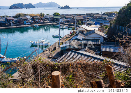 [Important Preservation District for Groups of Traditional Buildings] Dewajima Island: Early Spring Village Viewed from the Hills (Part 2) - Mugi Town, Kaifu District, Tokushima Prefecture 141483845