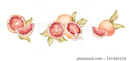 Grapefruit summer citrus fruits. Watercolor hand drawn floral food illustration isolated on white background for home kitchen textile fresh fabric print card cosmetic package porcelain crockery label Grapefruit summer citrus fruits. Watercolor hand drawn floral food illustration isolated on white background for home kitchen textile fresh fabric print card cosmetic package porcelain crockery label 141484138