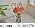 Flowers in a vase: Dahlias 141484476