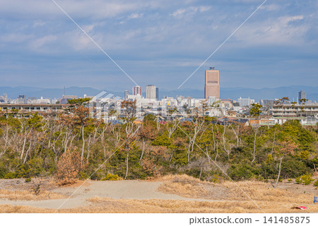 Nakatajima Sand Dunes and the cityscape of Hamamatsu City (Shizuoka Prefecture) Nakatajima Sand Dunes and the cityscape of Hamamatsu City (Shizuoka Prefecture) 141485875