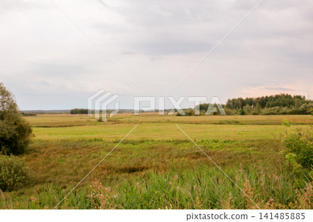 Vast green field under cloudy sky with distant trees and gentle landscape in early evening light Vast green field under cloudy sky with distant trees and gentle landscape in early evening light 141485885
