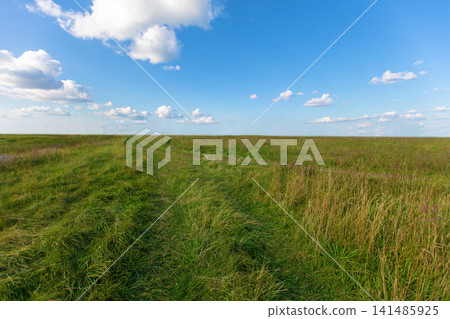 Expansive green landscape with a clear blue sky and gentle clouds in a rural area during daytime Expansive green landscape with a clear blue sky and gentle clouds in a rural area during daytime 141485925
