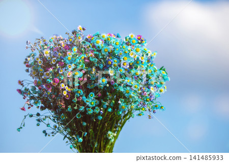 Colorful wildflowers gathered under a bright blue sky in a vibrant outdoor setting during a sunny day Colorful wildflowers gathered under a bright blue sky in a vibrant outdoor setting during a sunny day 141485933