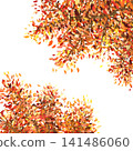 Background material featuring autumn leaves in full color. 141486060