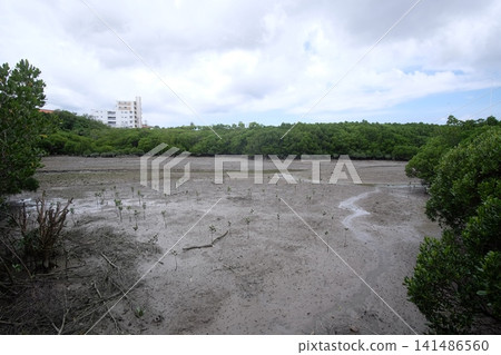 Lake Manko in Okinawa at low tide Lake Manko in Okinawa at low tide 141486560