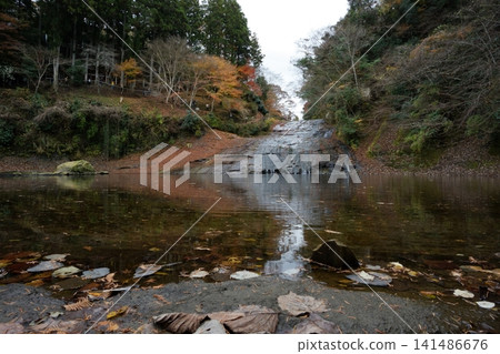 Awamata Falls, a representative landmark of the Yoro Valley, is adorned with the vibrant colors of autumn foliage. Awamata Falls, a representative landmark of the Yoro Valley, is adorned with the vibrant colors of autumn foliage. 141486676