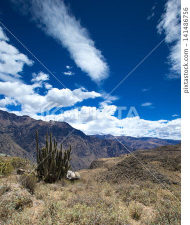 landscape in mountains. Peru. landscape in mountains. Peru. 141486756