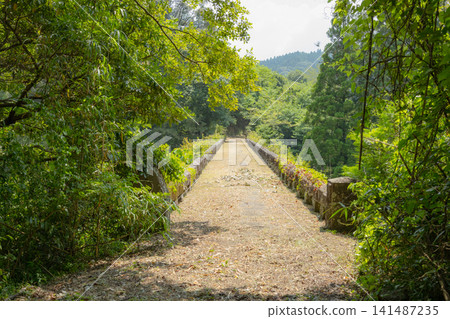 宮崎縣海老野市月之木川橋-國家有形文化財產 宮崎縣海老野市月之木川橋-國家有形文化財產 141487235