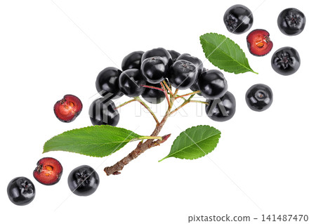 Chokeberry with leaf isolated on white background. Black aronia. Top view. Flat lay Chokeberry with leaf isolated on white background. Black aronia. Top view. Flat lay 141487470