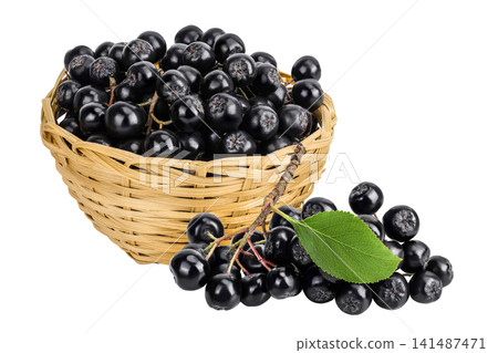 Chokeberry in a wicker basket isolated on white background. Black aronia. Chokeberry in a wicker basket isolated on white background. Black aronia. 141487471