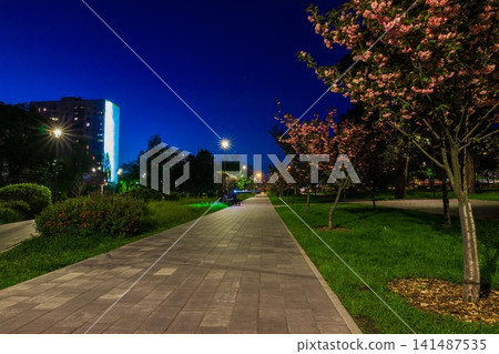 The tiled road in the night park with lanterns with Japanese che The tiled road in the night park with lanterns with Japanese che 141487535