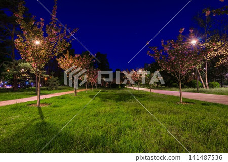 The tiled road in the night park with lanterns with Japanese che 141487536