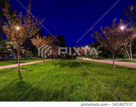 The tiled road in the night park with lanterns with Japanese che The tiled road in the night park with lanterns with Japanese che 141487537