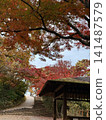 Autumn leaves and gazebo on Mount Takao 141487579