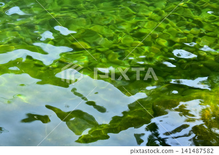 Close-up of the water of the pool in a public park. Clear water with reflection. Water reflection. Nature scene. Close-up of the water of the pool in a public park. Clear water with reflection. Water reflection. Nature scene. 141487582