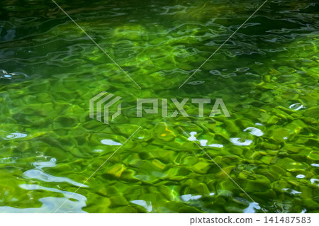 Close-up of the water of the pool in a public park. Clear water with reflection. Water reflection. Nature scene. Close-up of the water of the pool in a public park. Clear water with reflection. Water reflection. Nature scene. 141487583