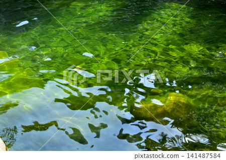 Close-up of the water of the pool in a public park. Clear water with reflection. Water reflection. Nature scene. 141487584