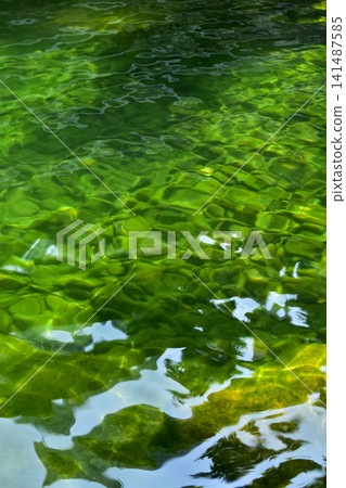 Close-up of the water of the pool in a public park. Clear water with reflection. Water reflection. Nature scene. Close-up of the water of the pool in a public park. Clear water with reflection. Water reflection. Nature scene. 141487585