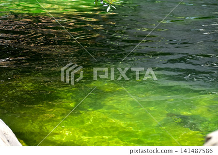 Close-up of the water of the pool in a public park. Clear water with reflection. Water reflection. Nature scene. 141487586